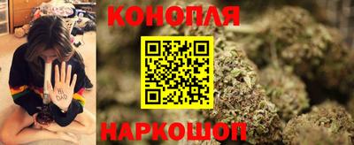 твердый Кингисепп